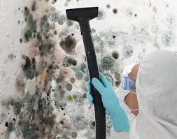 Zumbrota, MN Mold Removal Services Company